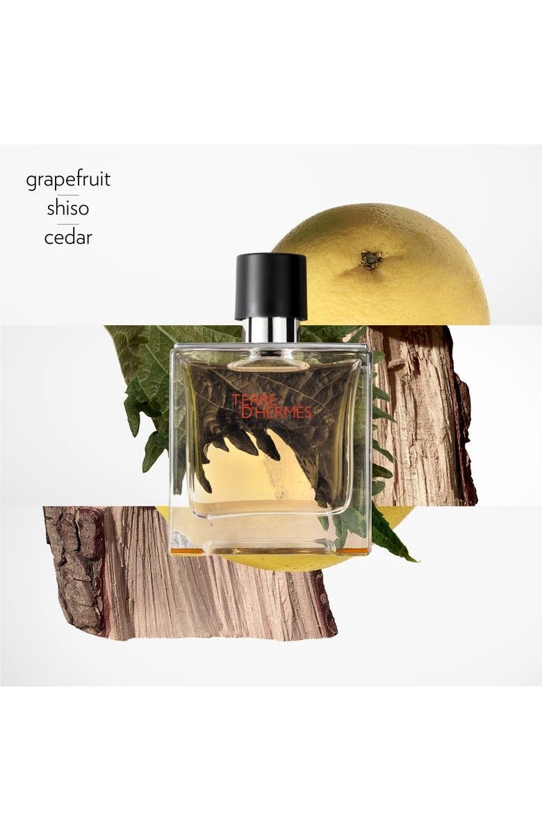 Hermes Terre D' Hermes Parfum para Hombre (2.5 oz / 75 ml / Parfum Spray)