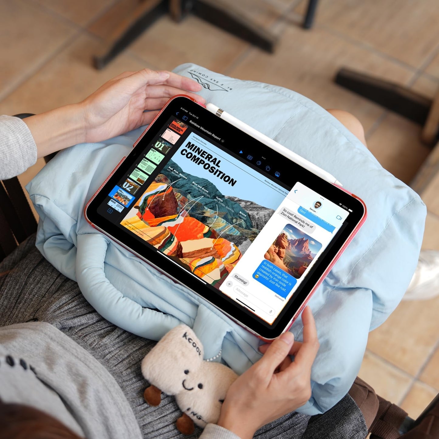 CoBak Funda Protectora para iPad (Raspberry)