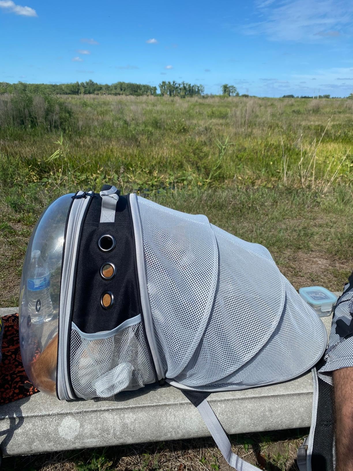 Mochila Transportadora Expandible para Gatos (Hasta 12 lbs)