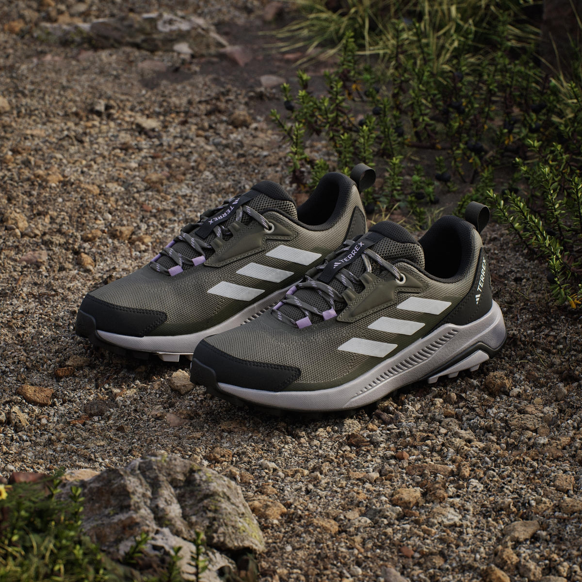 Adidas Women's Terrex Anylander Hiking, Olive Strata/Dash Grey/Night Cargo