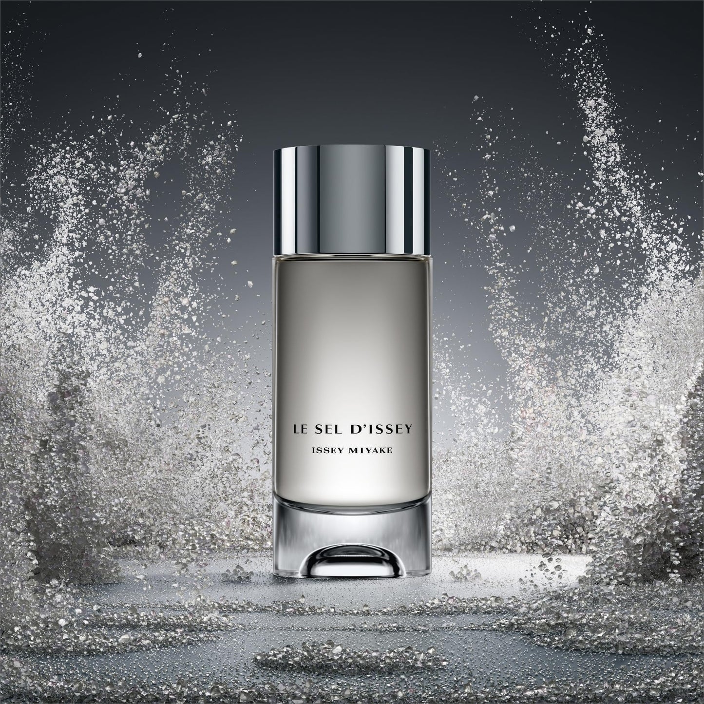 Issey Miyake Le Sel d'Issey EDT (3.3 oz)