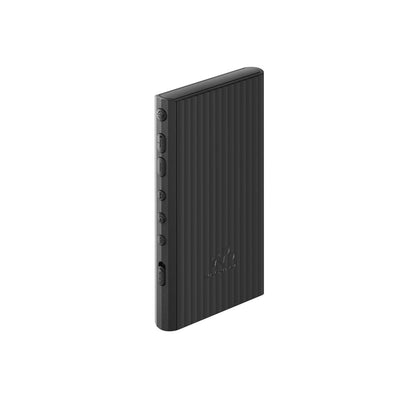 Sony NW-A306 Walkman (32GB, Negro)