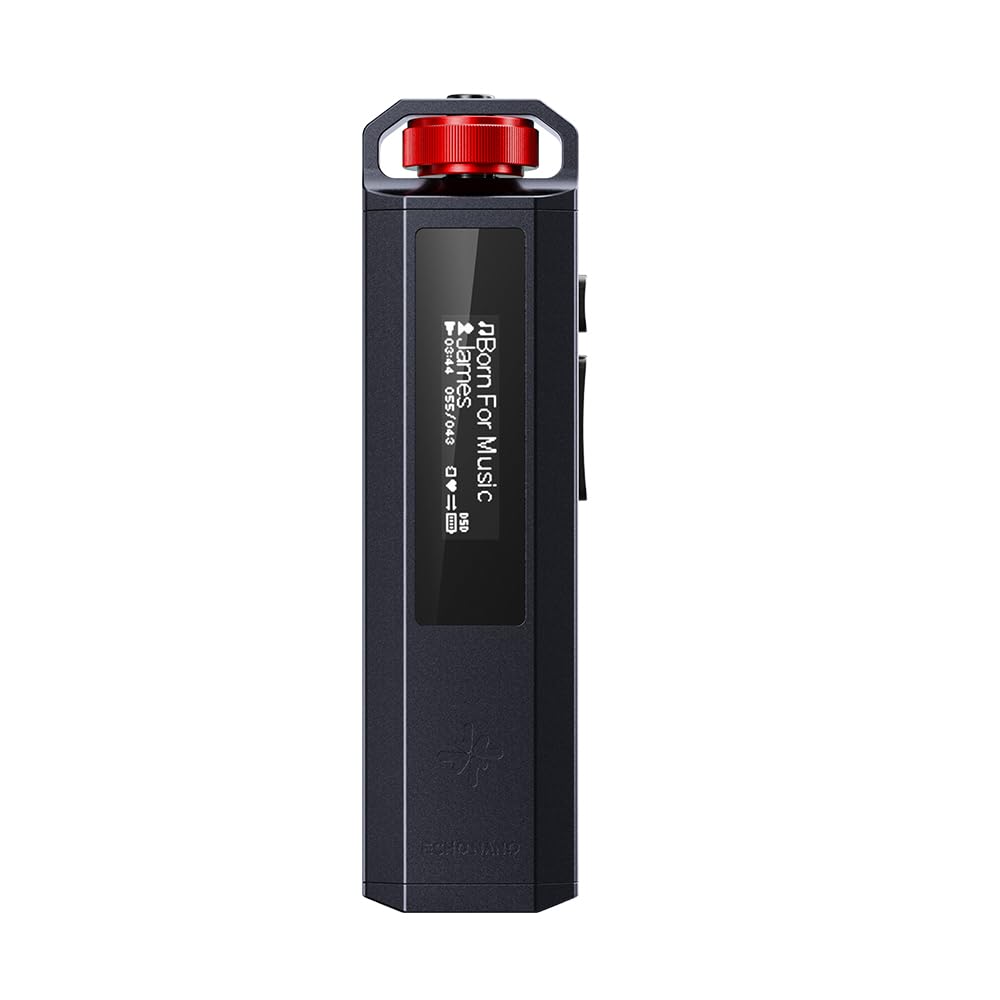 Reproductor de Música Retro HiFi FiiO SNOWSKY Echo Nano (Negro)
