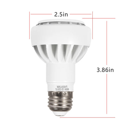 Bonbo Bombilla LED para Spa y Bañera de Hidromasaje (12V 25W)