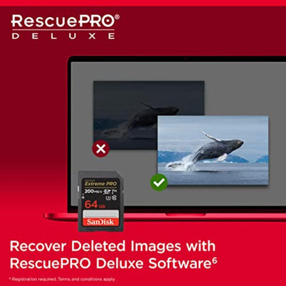 SANDISK 64GB Extreme PRO SDXC UHS-I Memory Card - C10, U3, V30, 4K UHD, SD Card - SDSDXXU-064G-GN4IN