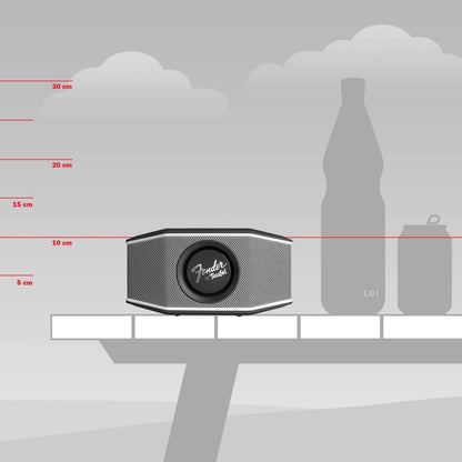 Fender x Teufel ROCKSTER GO 2 Altavoz Portátil con Bluetooth (28 Horas)