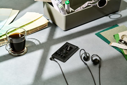 Sony NW-A306 Walkman (32GB, Negro)