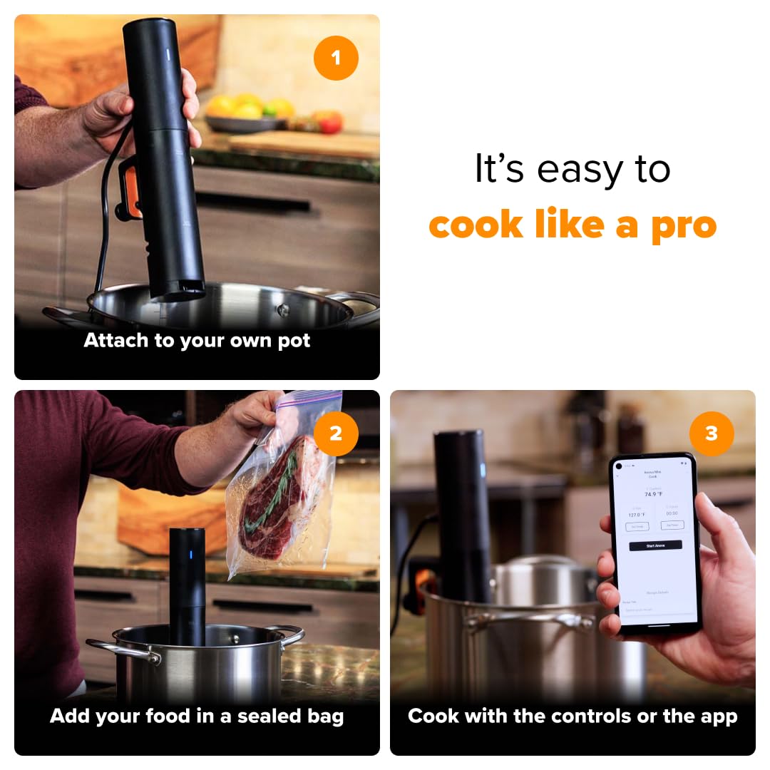 Anova Culinary Cocina de Precisión Sous Vide Mini (850W / Negro y Naranja)