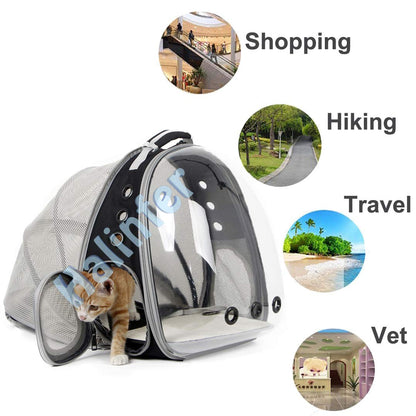 Back Expandable Cat Backpack Carrier, Fit up to 12 lbs, Space Capsule Bubble Window Pet Carrier Backpack to Carry and Transport Cat Bunny Small Puppy