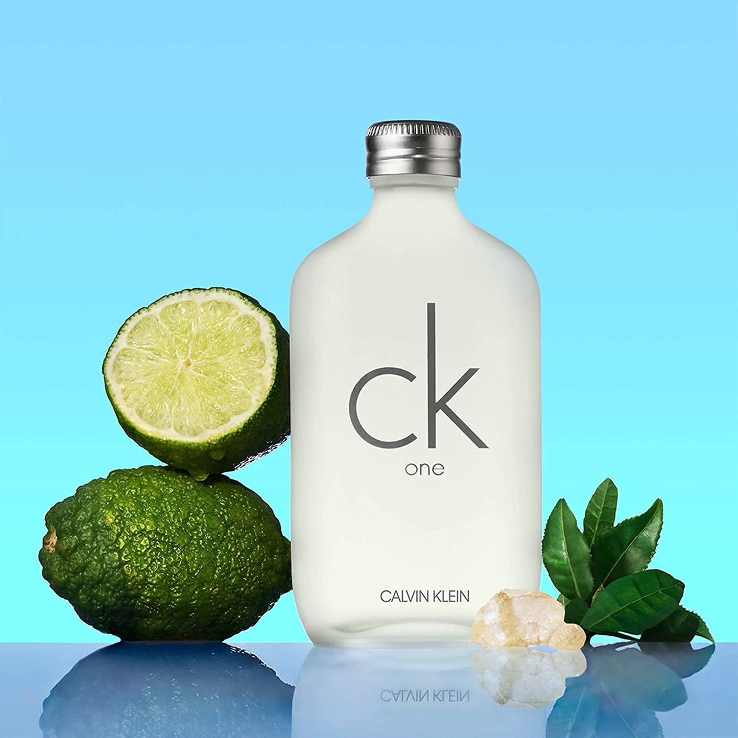 Calvin Klein CK One (3.3 fl oz / EDT)