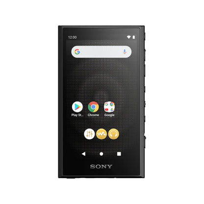 Sony NW-A306 Walkman (32GB, Negro)