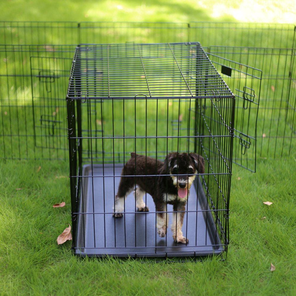 PEEKABOO Corral para Perros de 8 Paneles (24 Pulgadas / Negro)