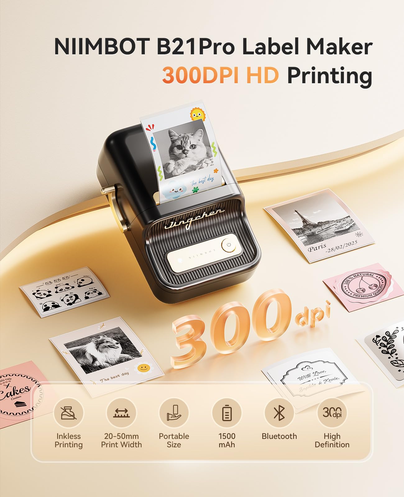 NIIMBOT Fabricante de Etiquetas B21 Pro (300DPI / Negro)
