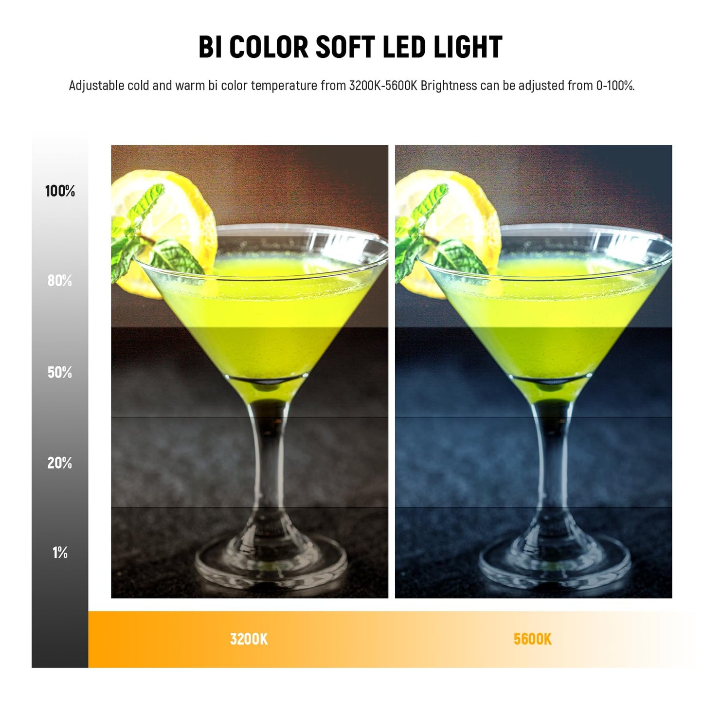 NEEWER Panel de Luz de Video LED de 9" (NL-116AI)