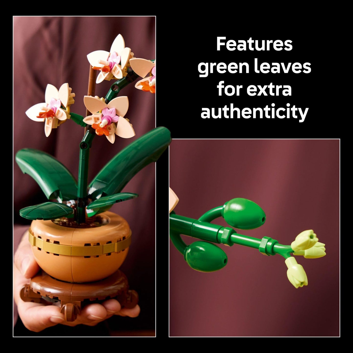 LEGO Botanicals Set de Construcción de Mini Orquídea (10343)