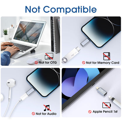 TechMatte Adaptadores de USB C a Lightning (Paquete de 2 / Gris)