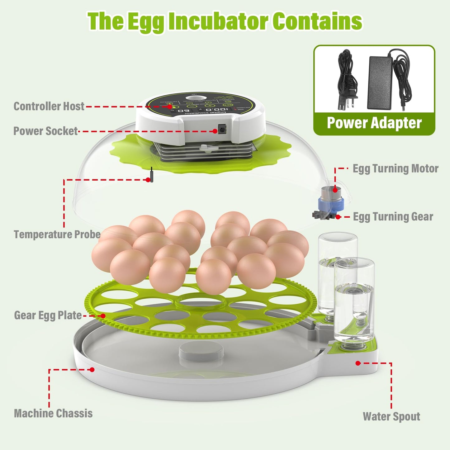 Incubadora de Huevos con Volteo Automático y Control de Humedad (Capacidad de 18 Huevos)