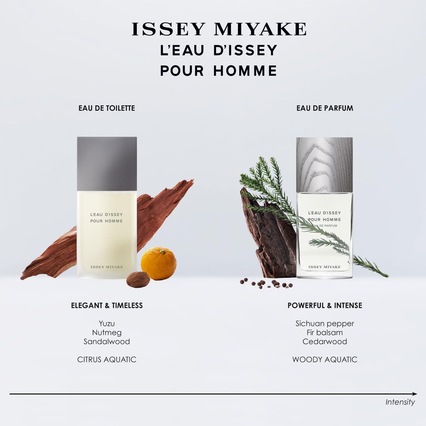 Issey Miyake L'Eau d'Issey Pour Homme EDT (2.5 oz)