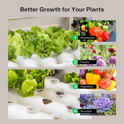 VIVOSUN Sistema de Cultivo Hidropónico de Jardinería