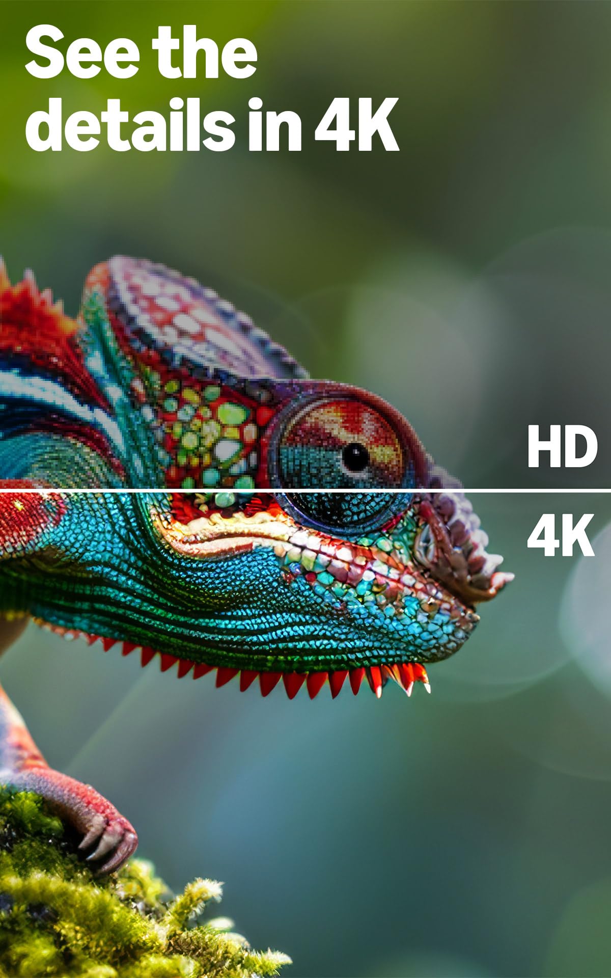 Amazon Televisor Inteligente Ember 4-Series 55" (4K Ultra HD)