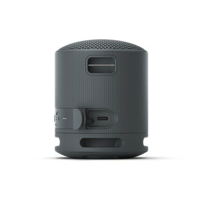 Sony SRS-XB100 Altavoz Inalámbrico de Viaje con Bluetooth (Negro / 16 Horas)