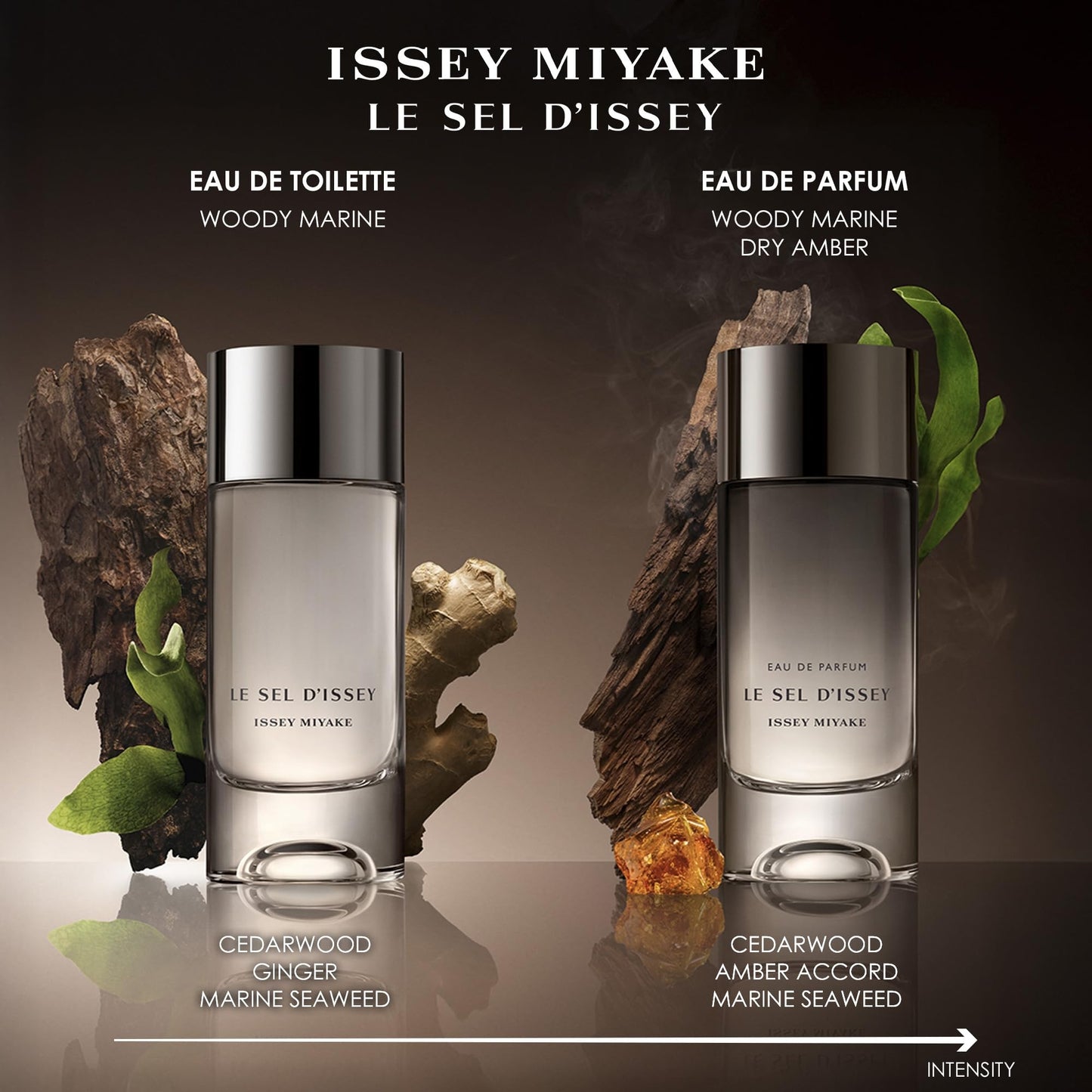 Issey Miyake Le Sel d'Issey EDT (3.3 oz)