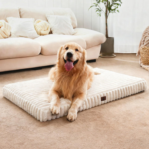 Cozila Cama Ortopédica para Perros Grandes