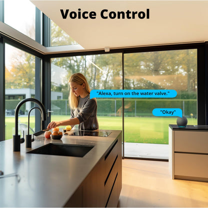 SONOFF Temporizador de Aspersor Inteligente Zigbee (Negro / SWV-NH)