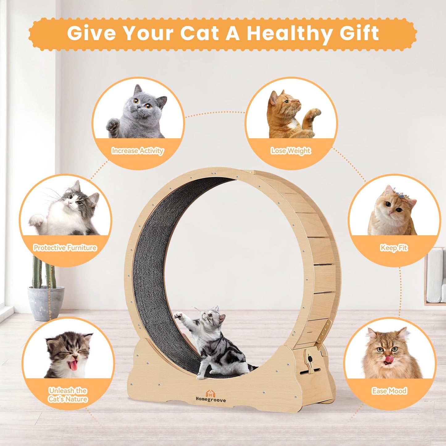 Homegroove Rueda de Ejercicio para Gatos XL (46" / Madera Natural)