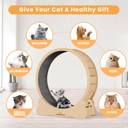 Homegroove Rueda de Ejercicio para Gatos XL (46" / Madera Natural)