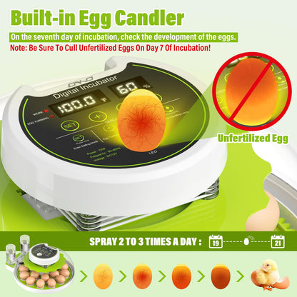 Incubadora de Huevos con Volteo Automático y Control de Humedad (Capacidad de 18 Huevos)