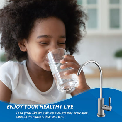 WEWE Grifo de Agua Potable para Fregadero (Níquel Cepillado)