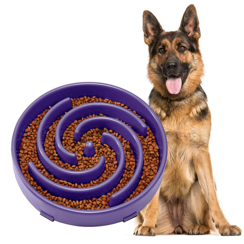 JASGOOD Tazón de Alimentación Lenta para Perros Grandes