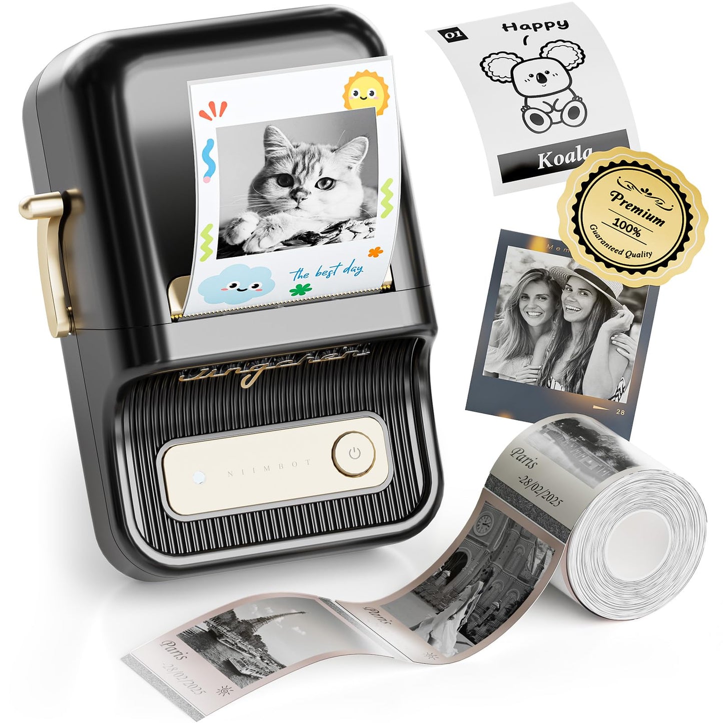NIIMBOT Fabricante de Etiquetas B21 Pro (300DPI / Negro)