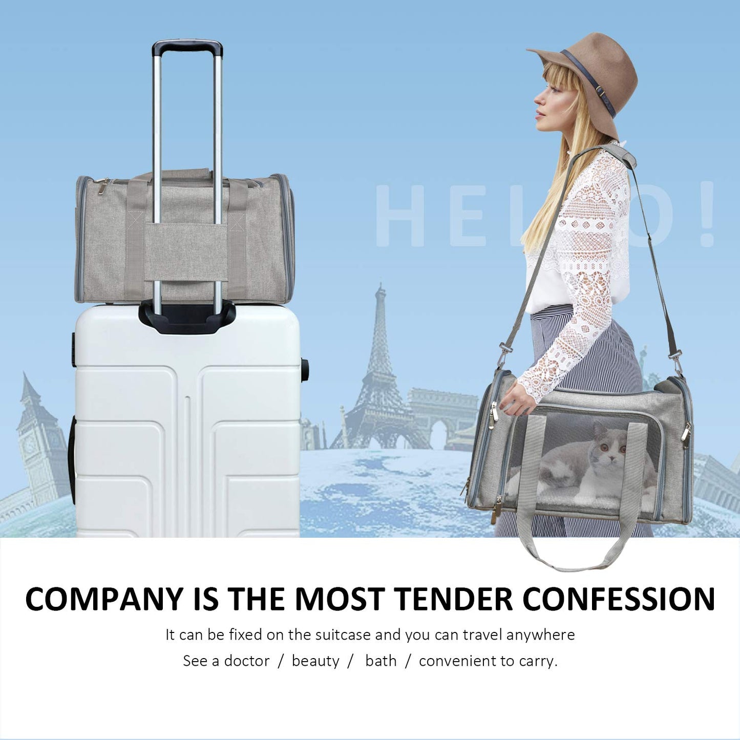 Henkelion Transportadora para Mascotas (Hasta 15lbs / Gris)