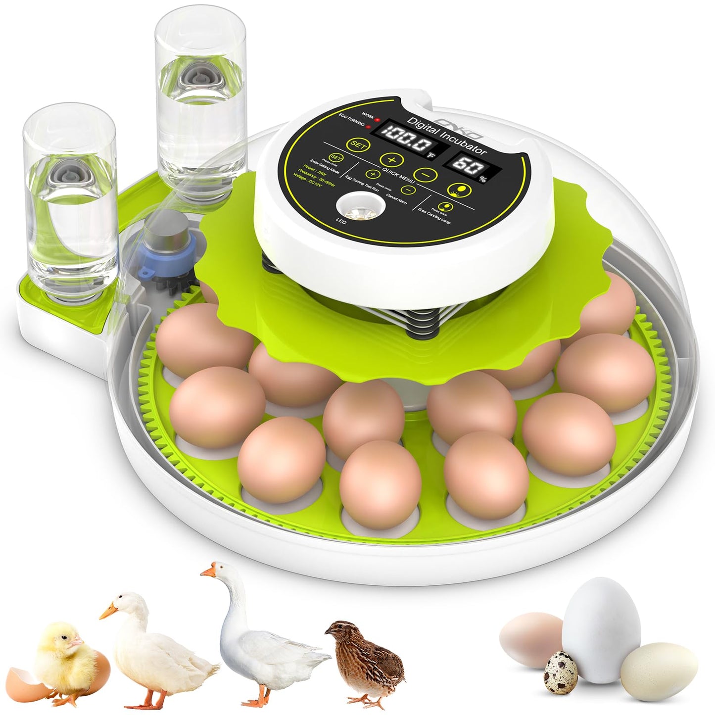 Incubadora de Huevos con Volteo Automático y Control de Humedad (Capacidad de 18 Huevos)