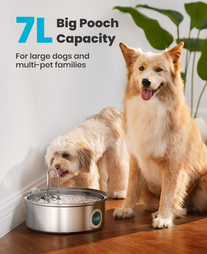 oneisall Fuente de Agua de Acero Inoxidable para Perros (7L / 230oz)