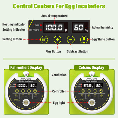 Incubadora de Huevos con Volteo Automático y Control de Humedad (Capacidad de 18 Huevos)