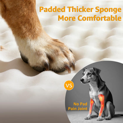 PETICON Asiento Extensor de Coche para Perros Grandes