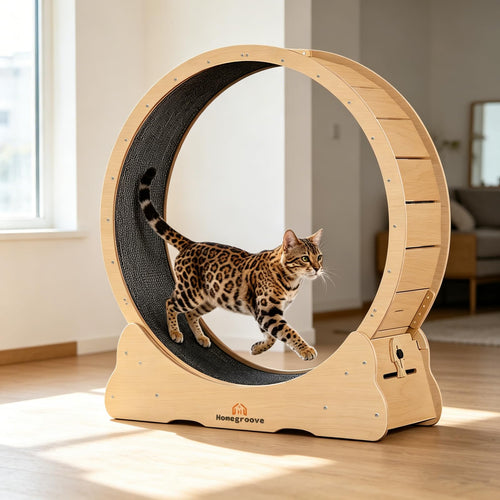 Homegroove Rueda de Ejercicio para Gatos XL (46" / Madera Natural)