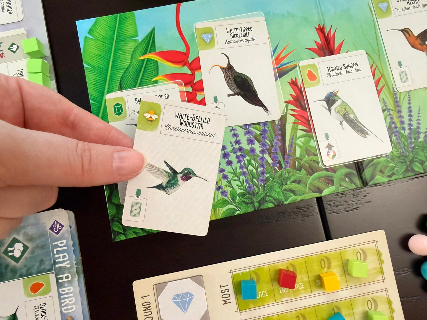 Stonemaier Games Expansión Wingspan Americas