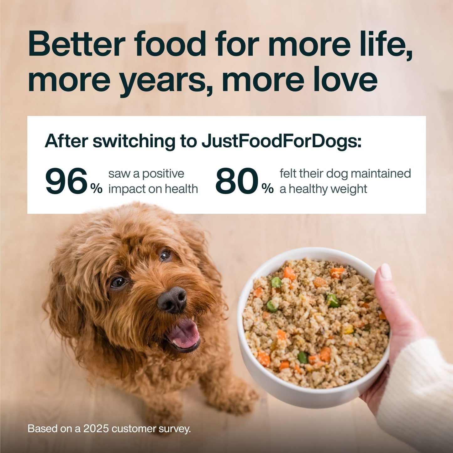 JustFoodForDogs Paquete Variado de Comida para Perros (Paquete de 8 / 12.5 oz)