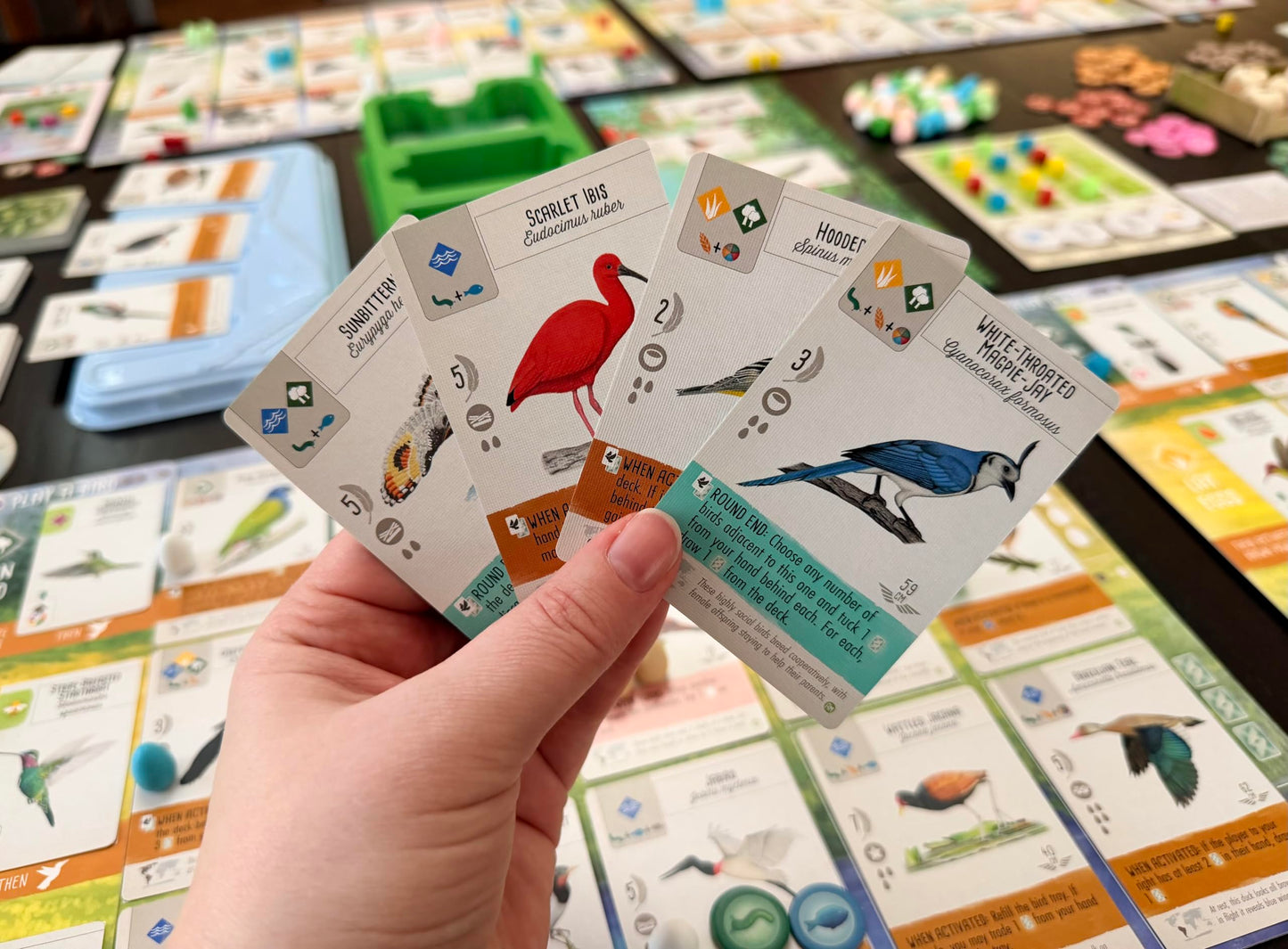 Stonemaier Games Expansión Wingspan Americas
