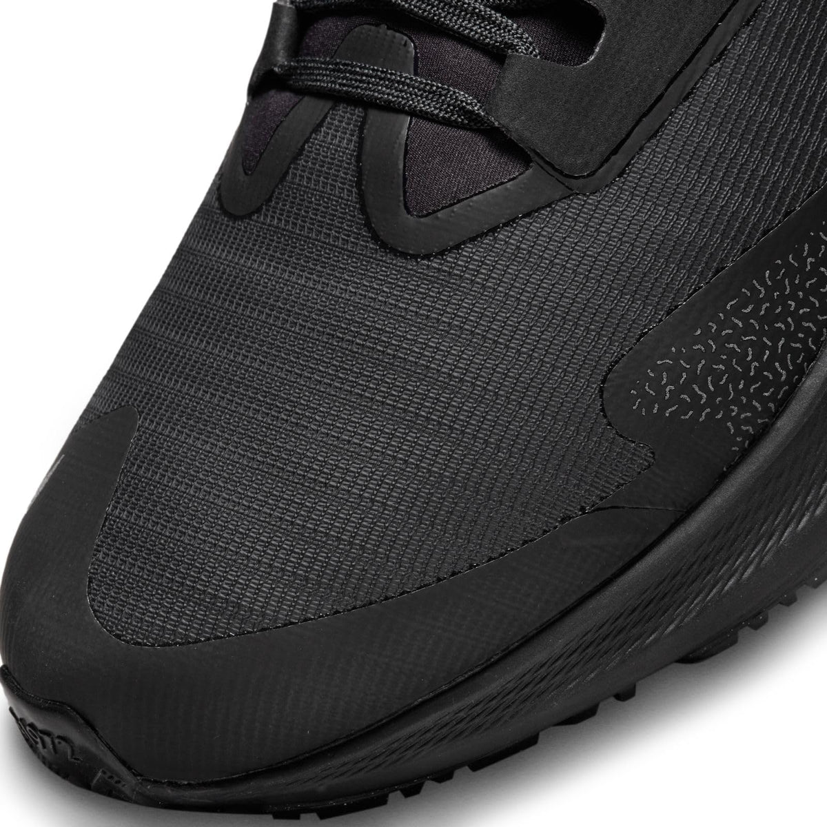 Nike Pegasus 39 Shield Men's Weatherized Road Running Shoes (DO7625-001, Black/Off Noir/Dark Smoke Grey/Black)