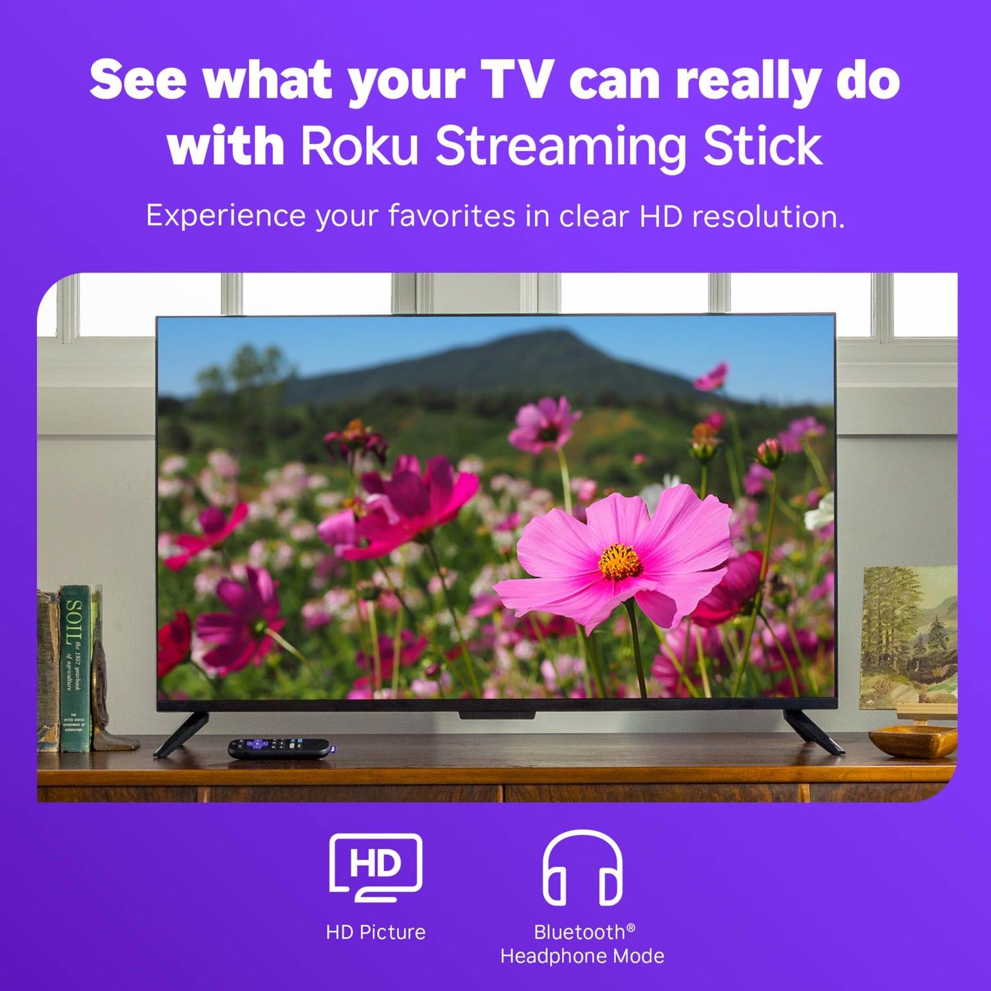 Roku Streaming Stick HD