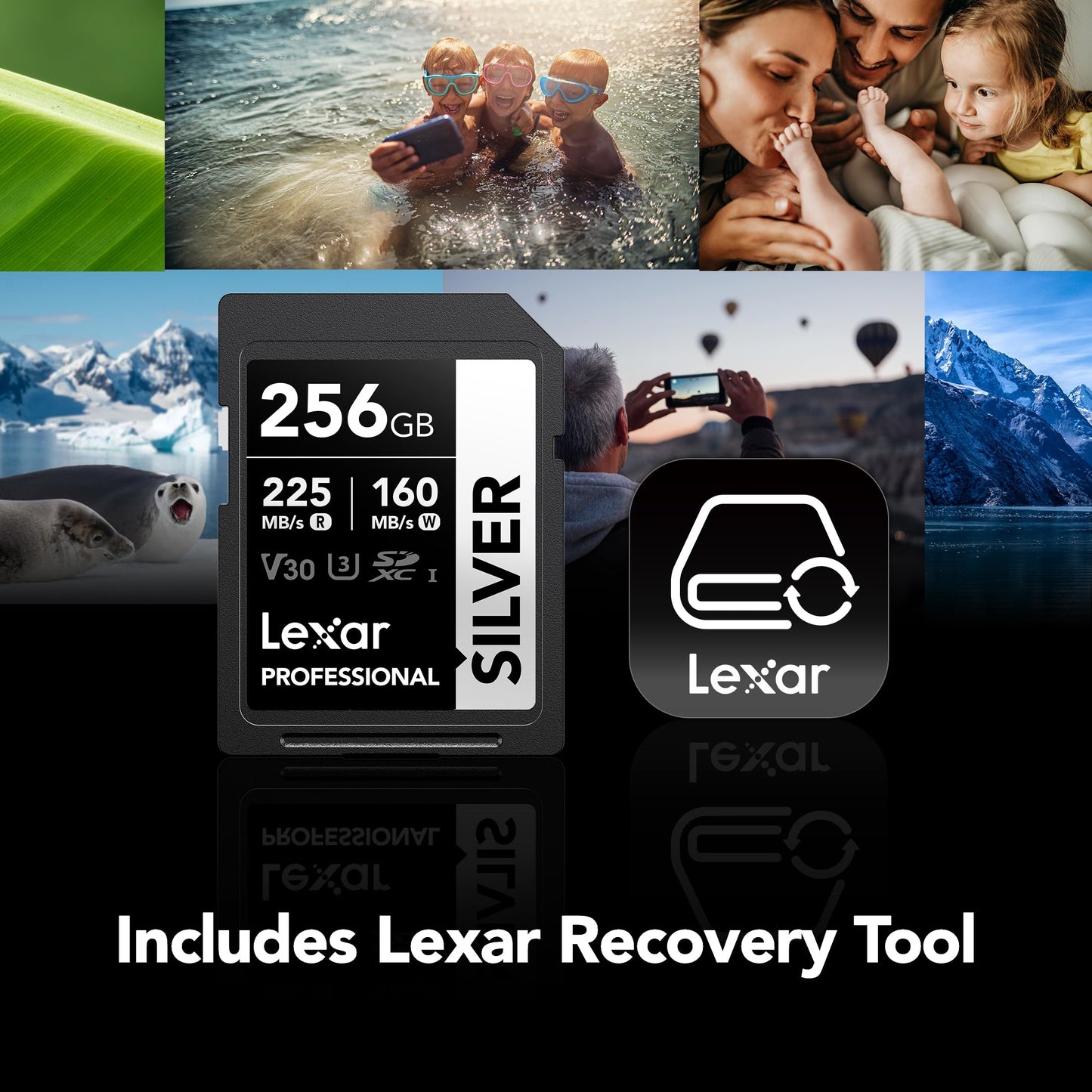 Lexar 256GB Professional Silver SD Card, UHS-I, C10, U3, V30, 4K, Up to 225/160 MB/s SDXC Memory Card, for Photographer, Videographer, Enthusiast (LSDSILV256G-BNNNU)