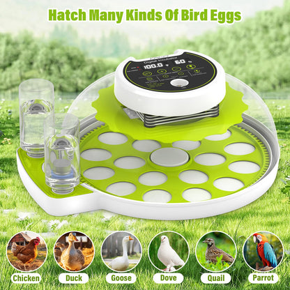 Incubadora de Huevos con Volteo Automático y Control de Humedad (Capacidad de 18 Huevos)