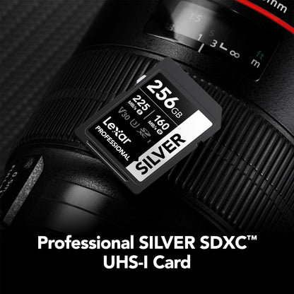 Lexar 256GB Professional Silver SD Card, UHS-I, C10, U3, V30, 4K, Up to 225/160 MB/s SDXC Memory Card, for Photographer, Videographer, Enthusiast (LSDSILV256G-BNNNU)