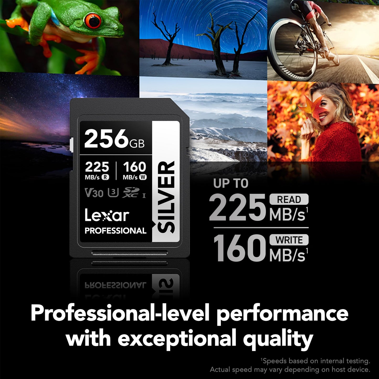 Lexar 256GB Professional Silver SD Card, UHS-I, C10, U3, V30, 4K, Up to 225/160 MB/s SDXC Memory Card, for Photographer, Videographer, Enthusiast (LSDSILV256G-BNNNU)