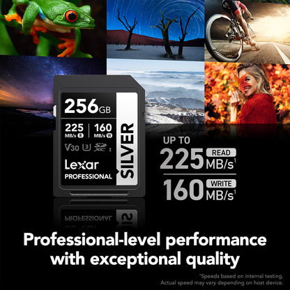 Lexar 256GB Professional Silver SD Card, UHS-I, C10, U3, V30, 4K, Up to 225/160 MB/s SDXC Memory Card, for Photographer, Videographer, Enthusiast (LSDSILV256G-BNNNU)